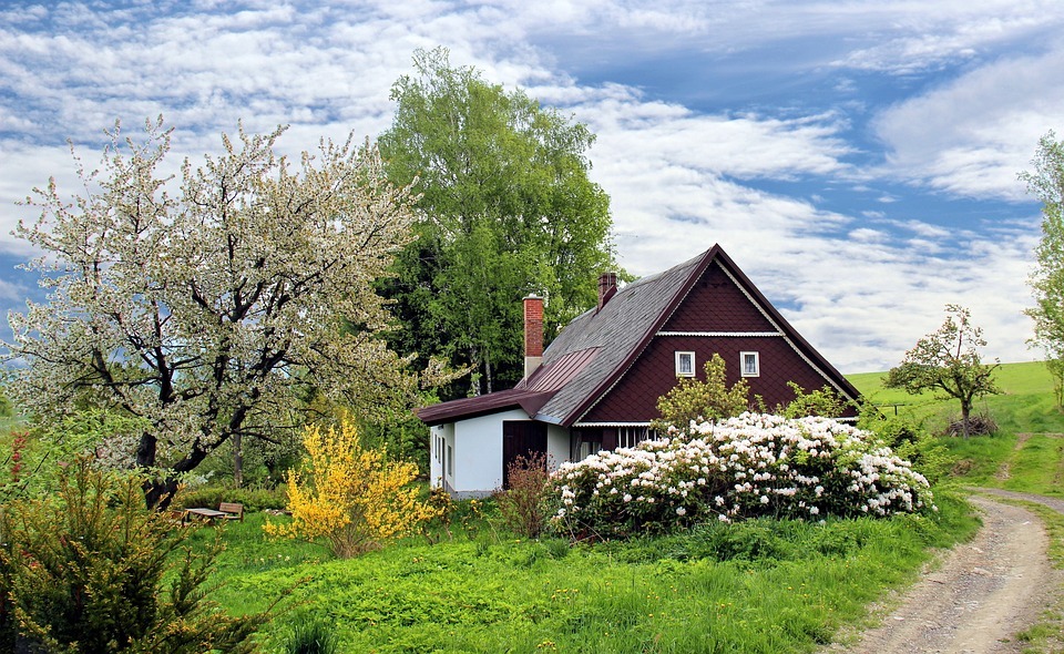 3 ideeën voor minder werk aan je tuin