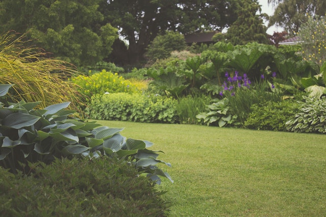 Tips om de tuin op te knappen